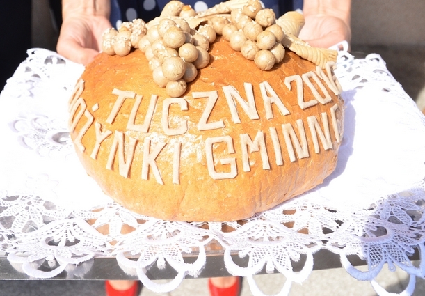 Dożynki Gminne 2016